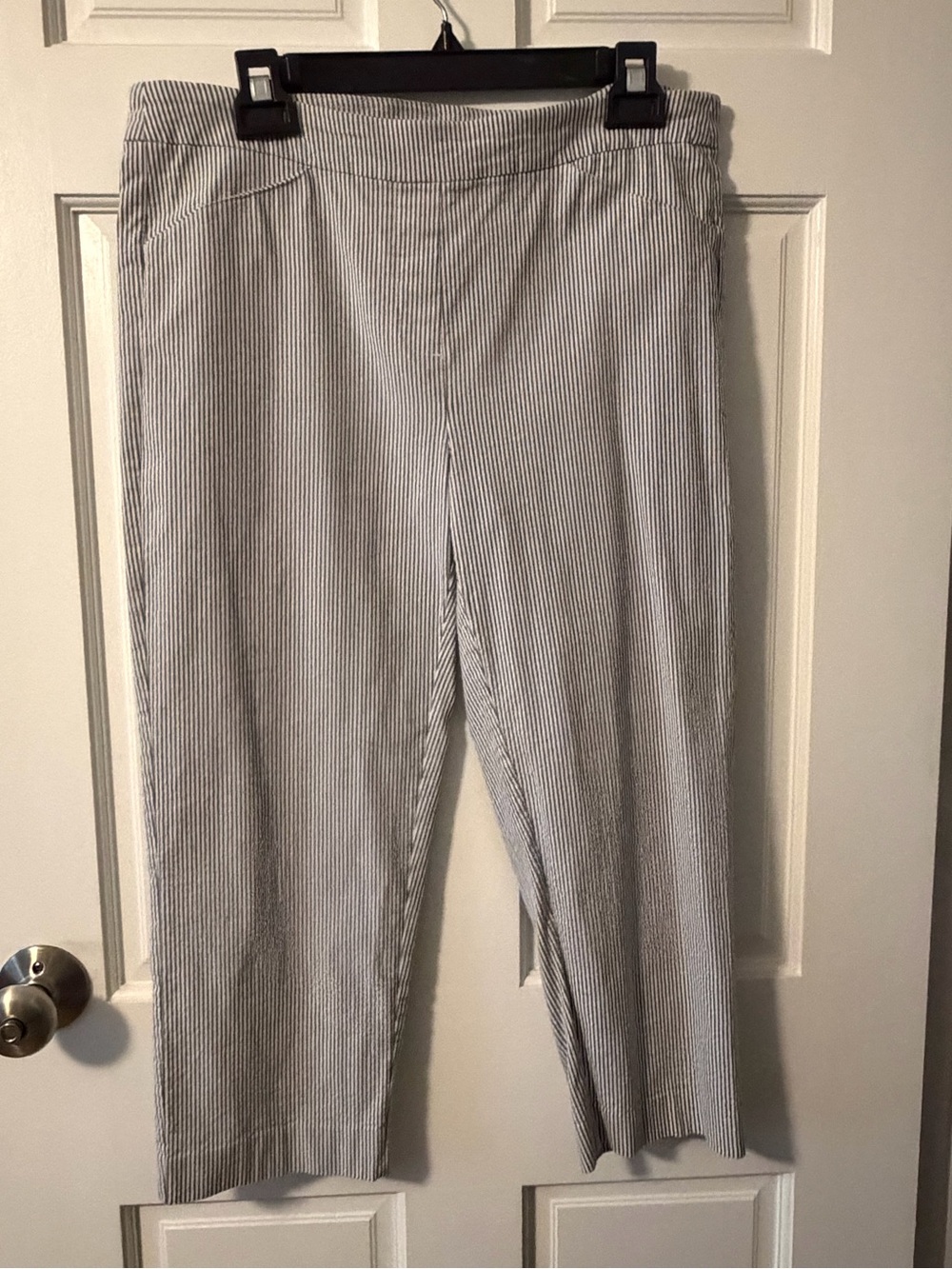 Zac & Rachel Navy and White Pinstripe Pants
